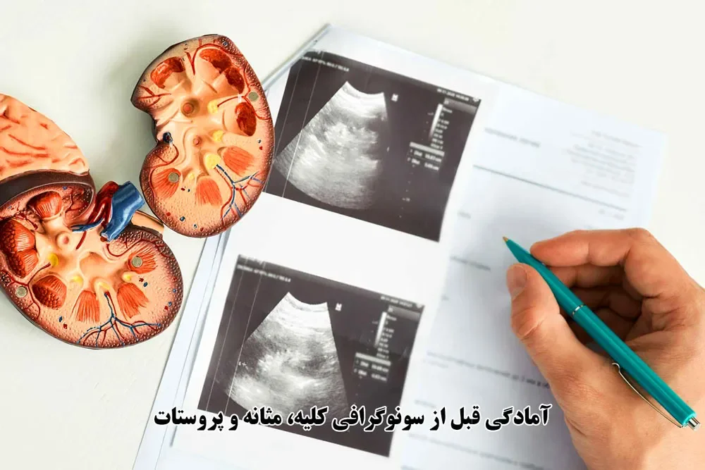 آمادگی قبل از سونوگرافی کلیه، مثانه و پروستات